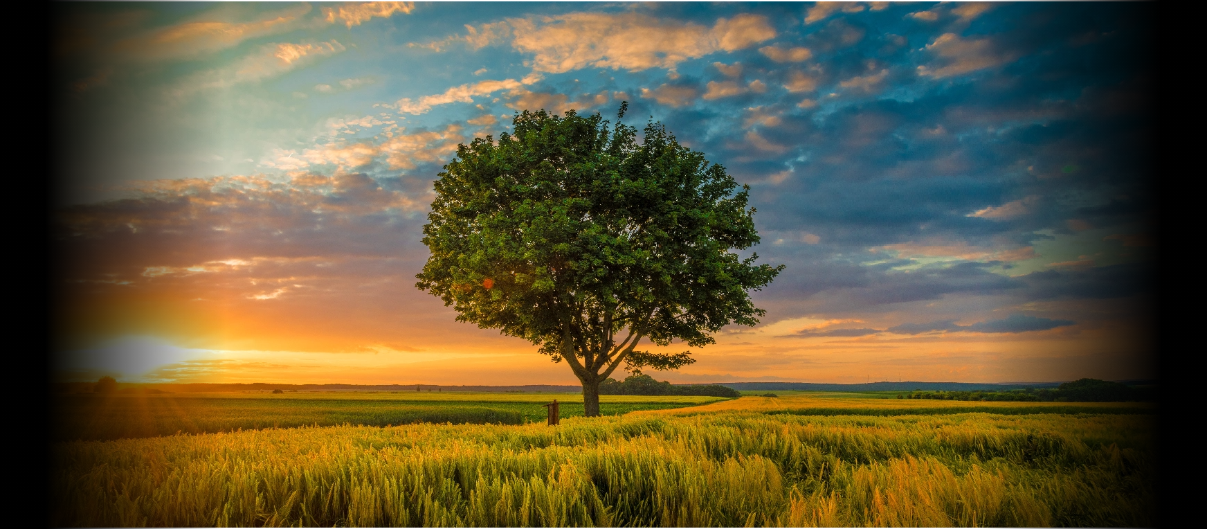 낮은 내부반사율